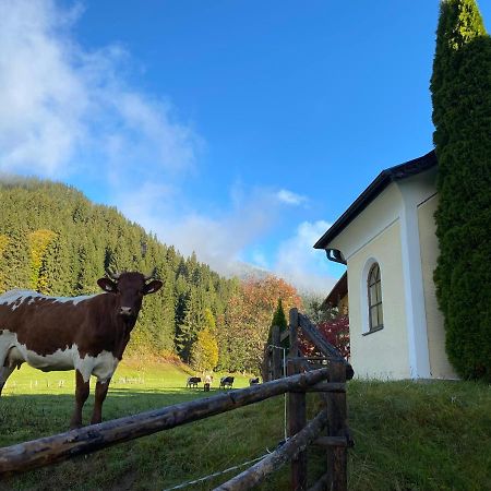 Moabauer Villa Wagrain Exteriör bild
