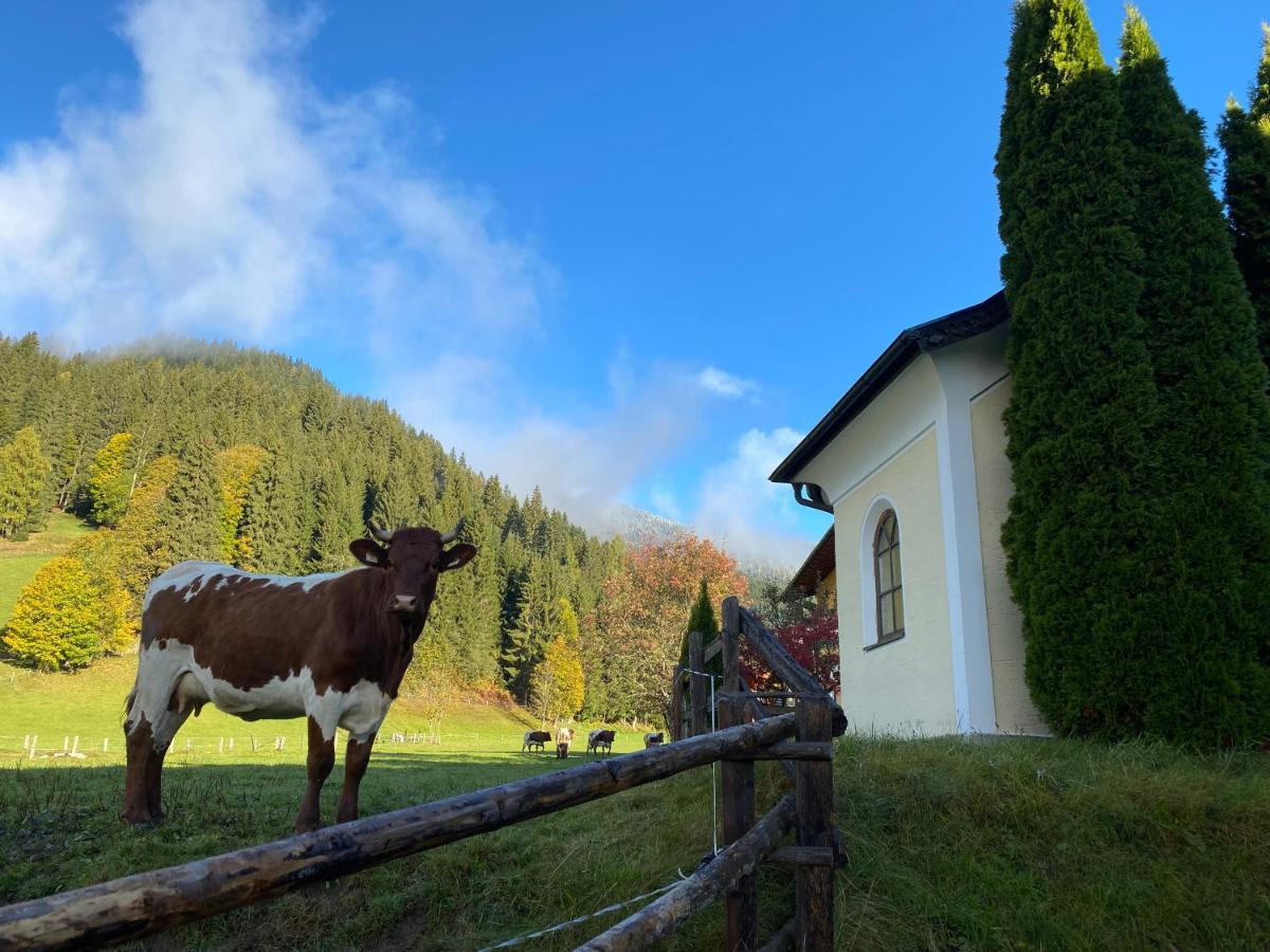 Moabauer Villa Wagrain Exteriör bild