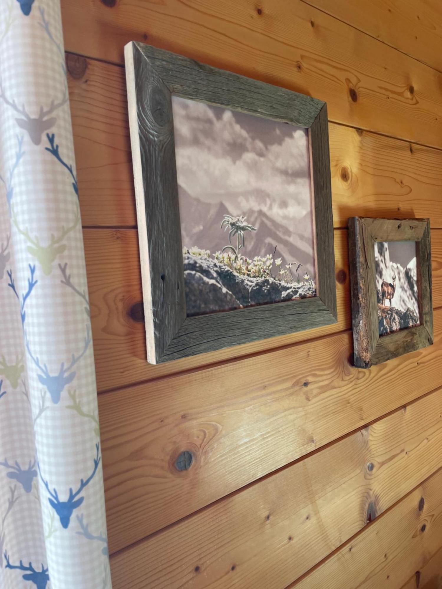 Moabauer Villa Wagrain Exteriör bild