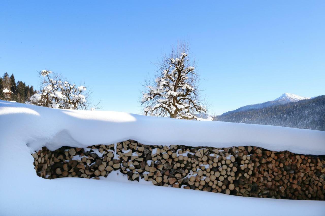 Moabauer Villa Wagrain Exteriör bild